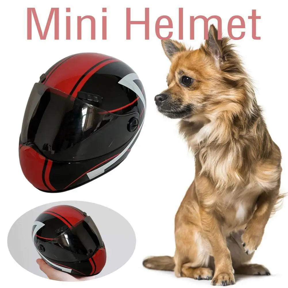 Cat Dog Mini Motorcycle Helmet Small Head Protection Pet Safety Helmet Photo Props Motorcycle Accessories